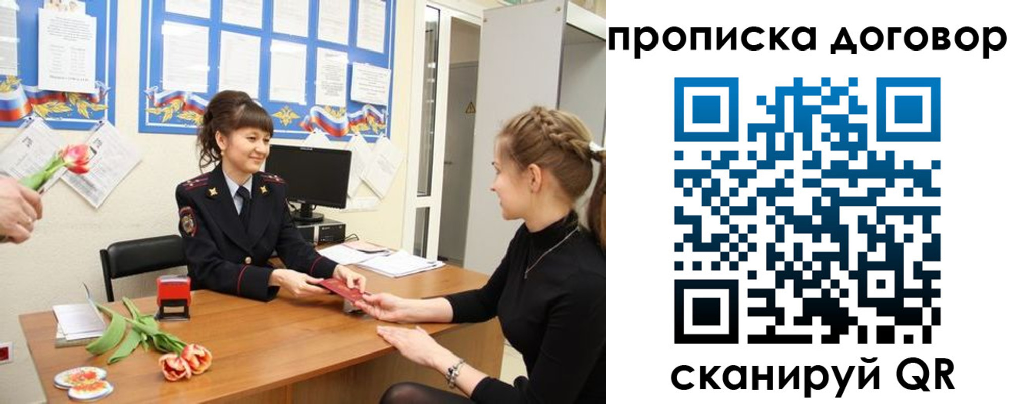 прописка 2025 в Шебекино
