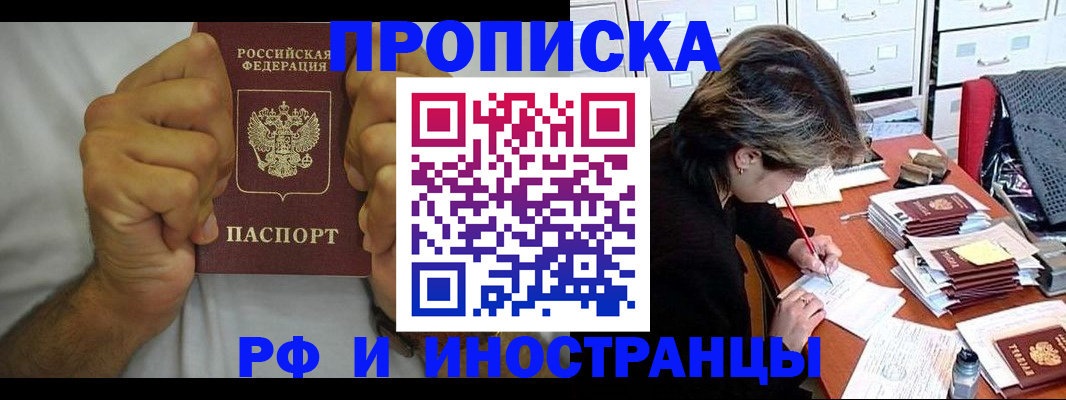 прописка в Шебекино